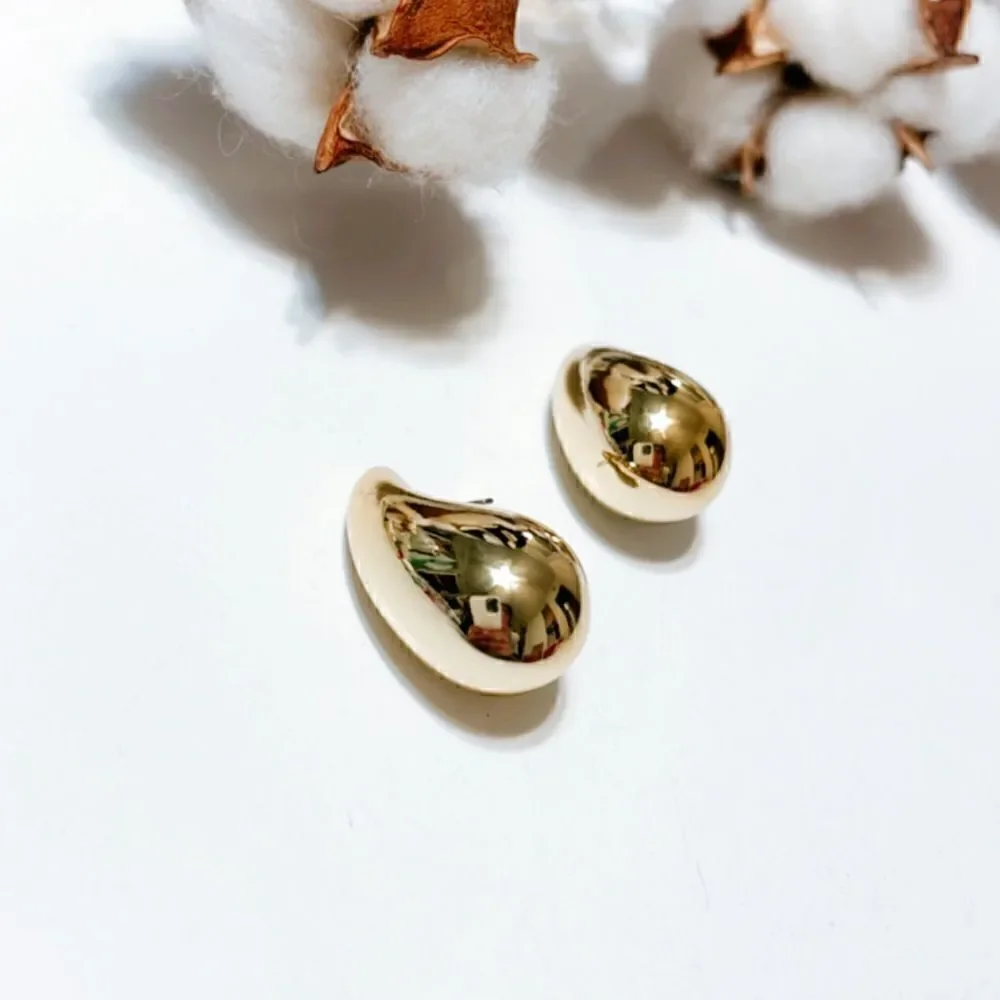 Water drop earrings N233